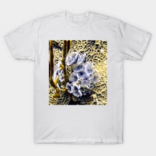 Underwater Feather Flowers T-Shirt